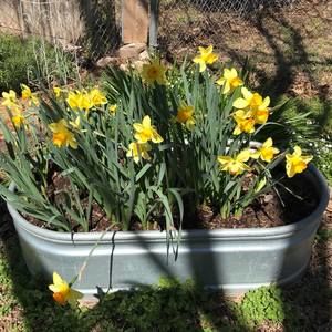 Meet your Posher, Janet